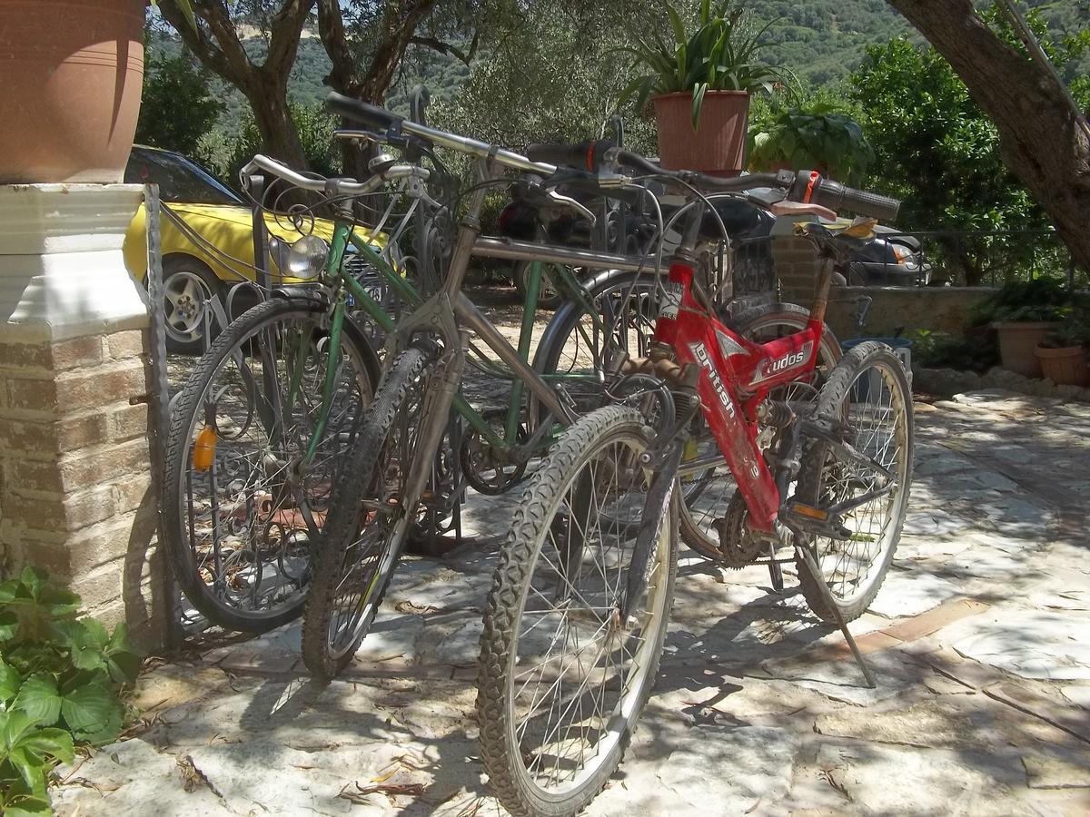 Vila Oliven Vlore Exterior photo